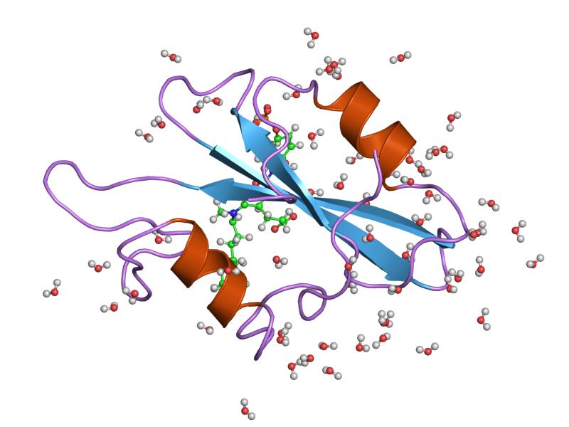 File:PDB 1skj EBI.jpg