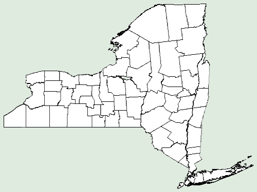 File:Rudbeckia laciniata var bipinnata NY-dist-map.png