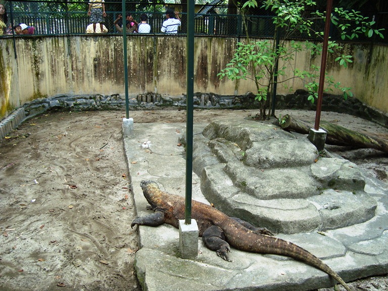 File:Taman Hewan Pematang Siantar (39).JPG - Wikimedia Commons