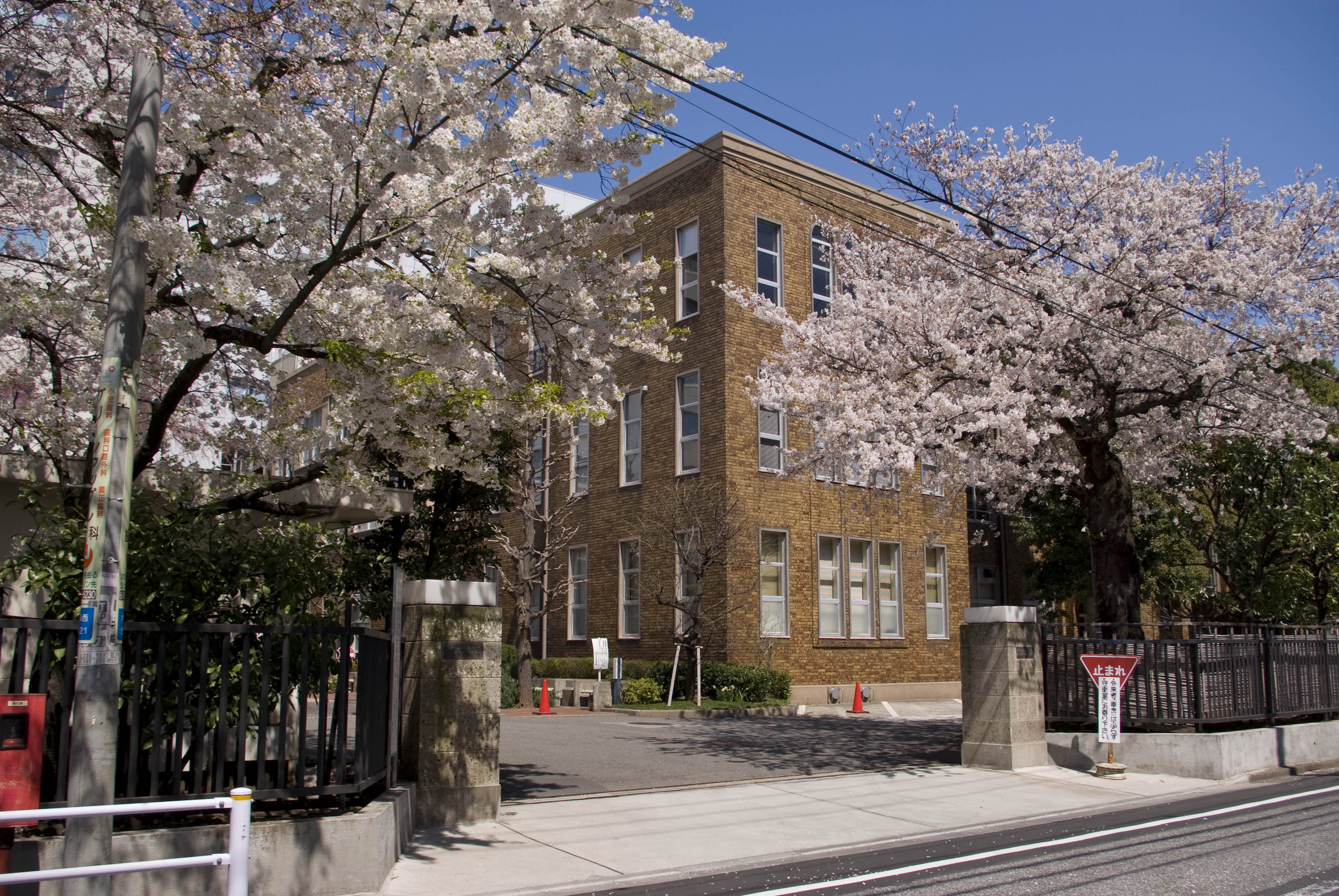 Toho University School of Medicine.jpg