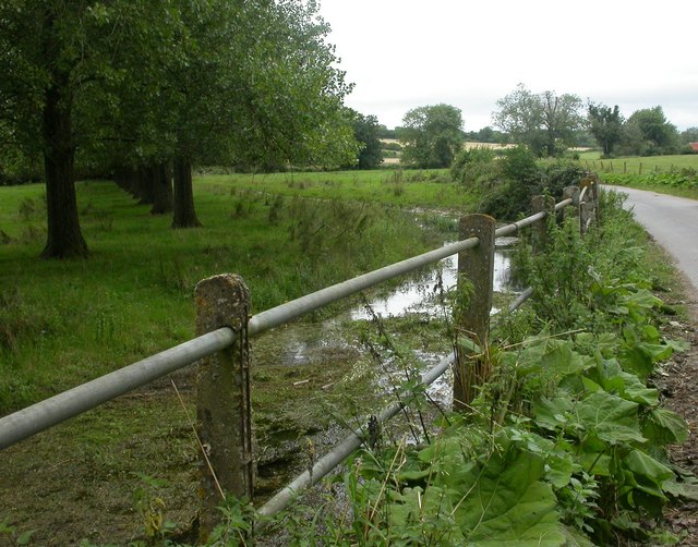 File:Wimborne Gt Giles, railings - geograph.org.uk - 1439666.jpg