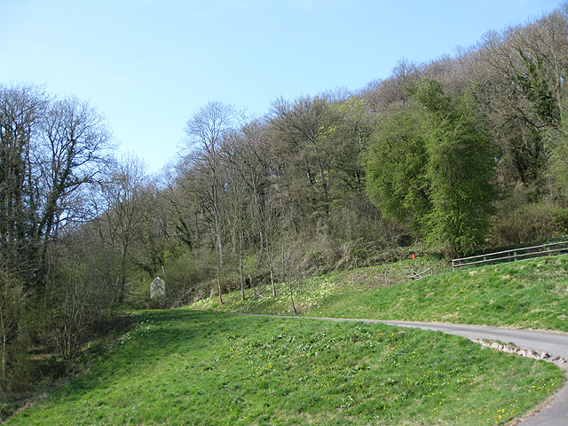 Dinmore Hill