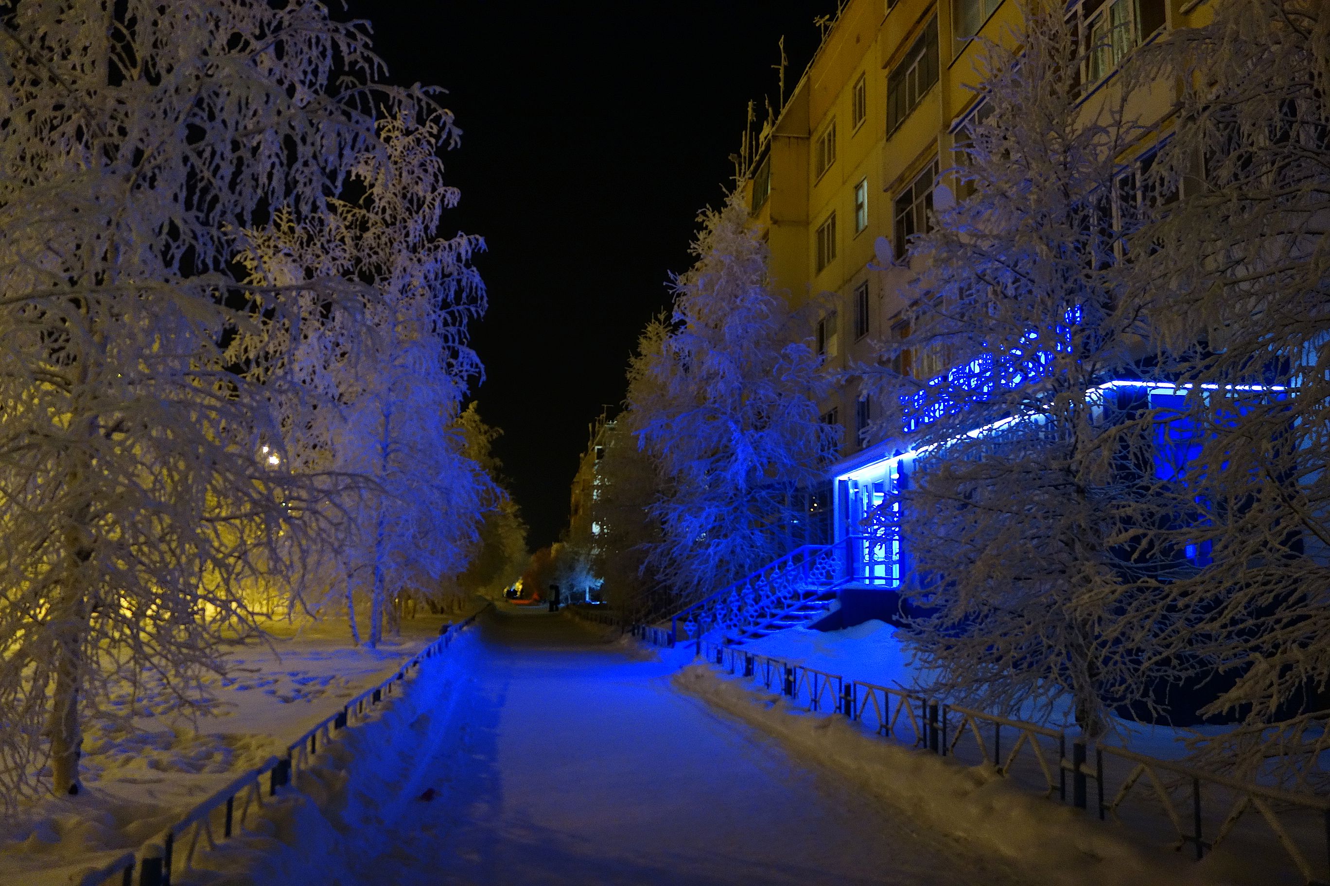 город муравленко фото