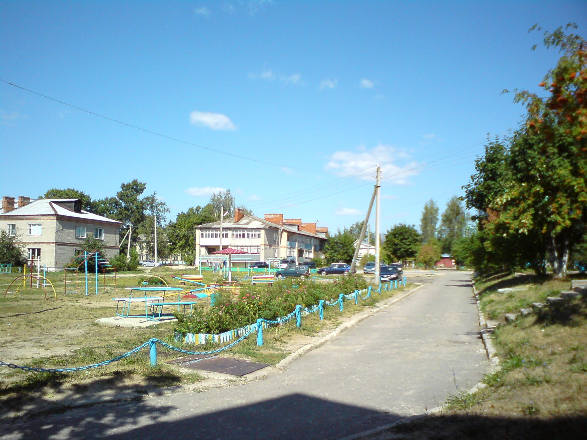 Село дмитриевское пермский край