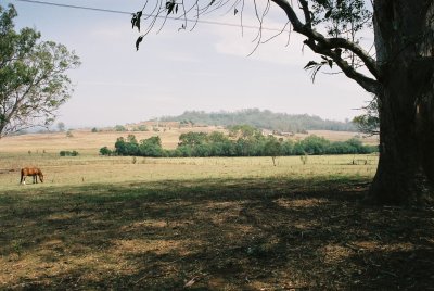 Paddocks 1691 - Denbigh - View from Denbigh homestead looking west. (5051541b4).jpg