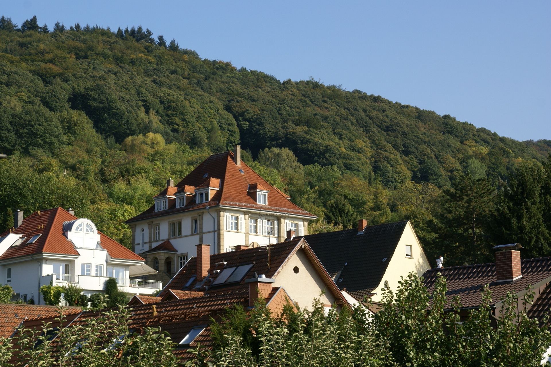 Файл:2011.09.25.162348 Panorama Rollossweg Handschuhsheim Heidelberg.jpg —  Википедия