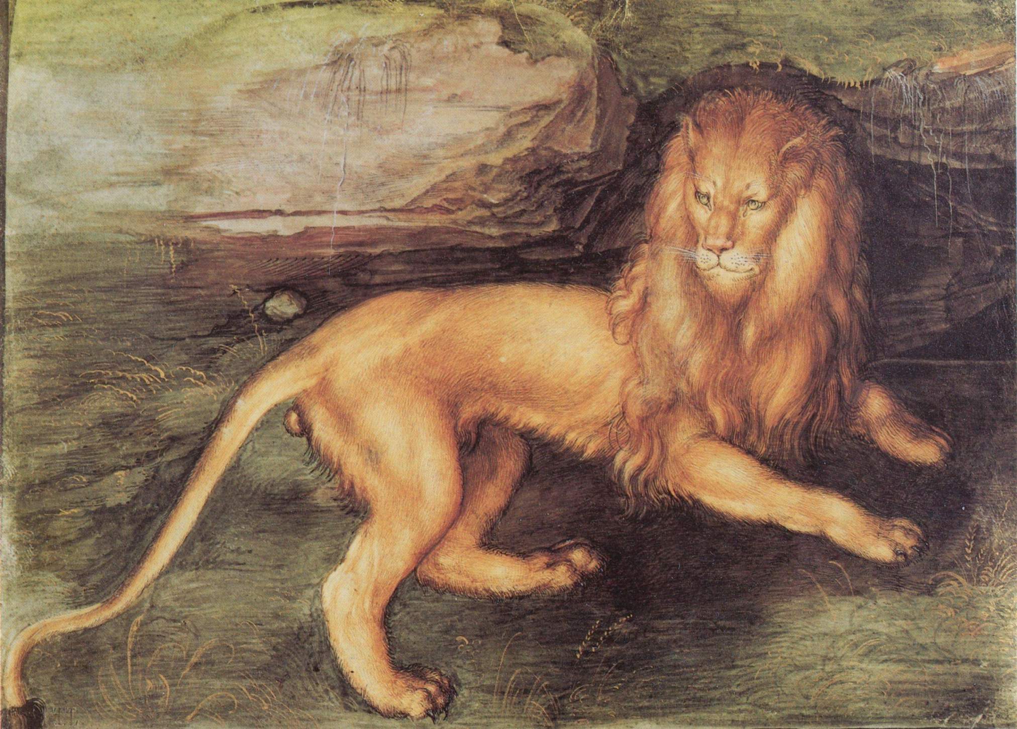 lion paintings