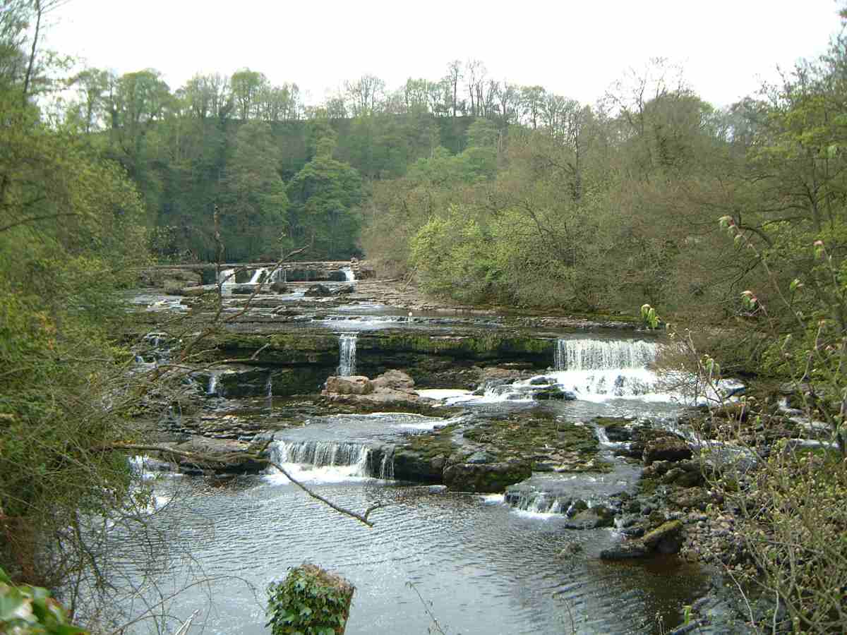 Река Юра. Aysgarth Falls. Middleham Falls. Aysgarth Upper Falls.