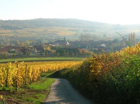 File:Bergbieten.jpg