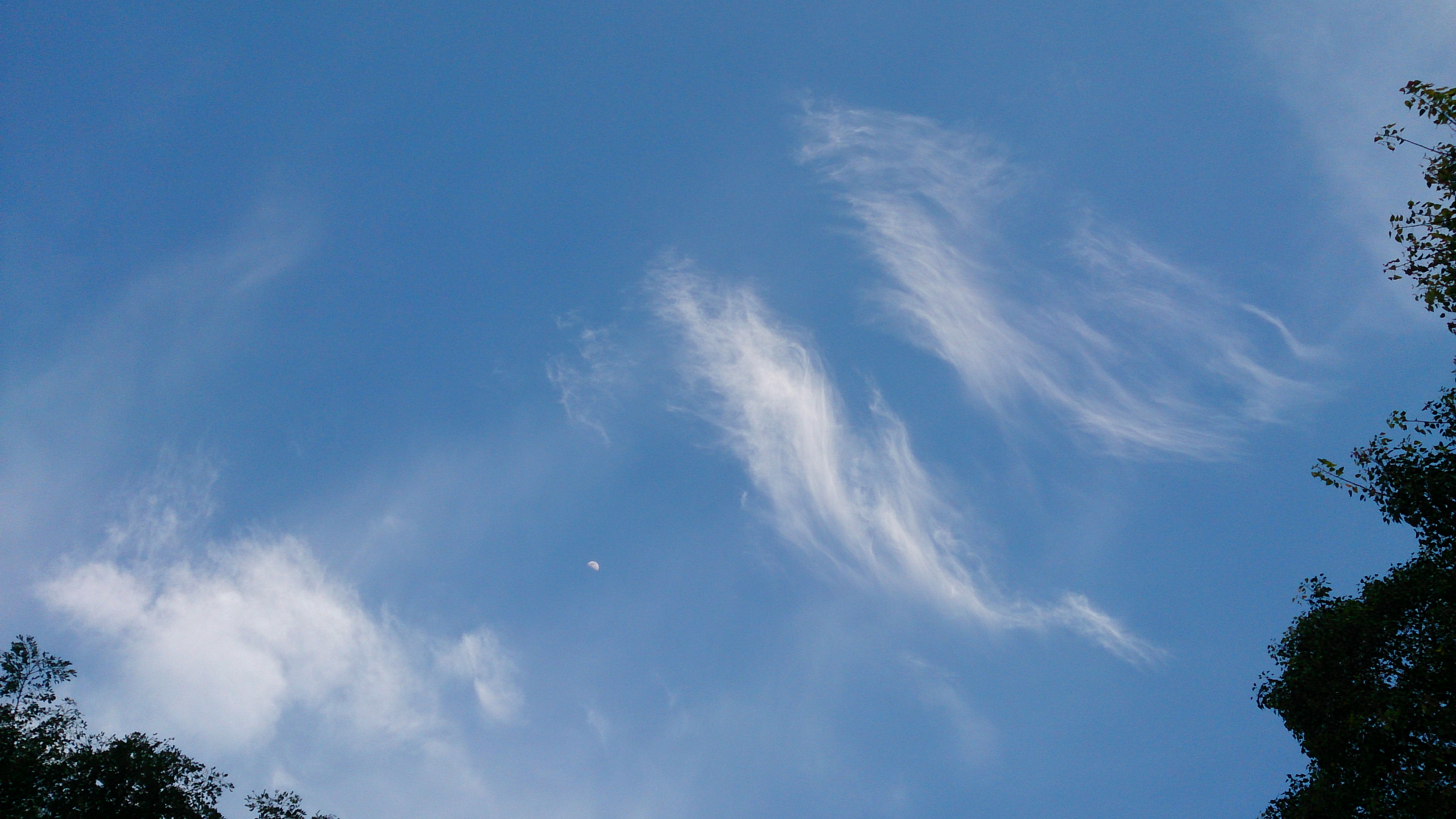 File:Blue sky with wispy clouds.jpg - Wikimedia Commons