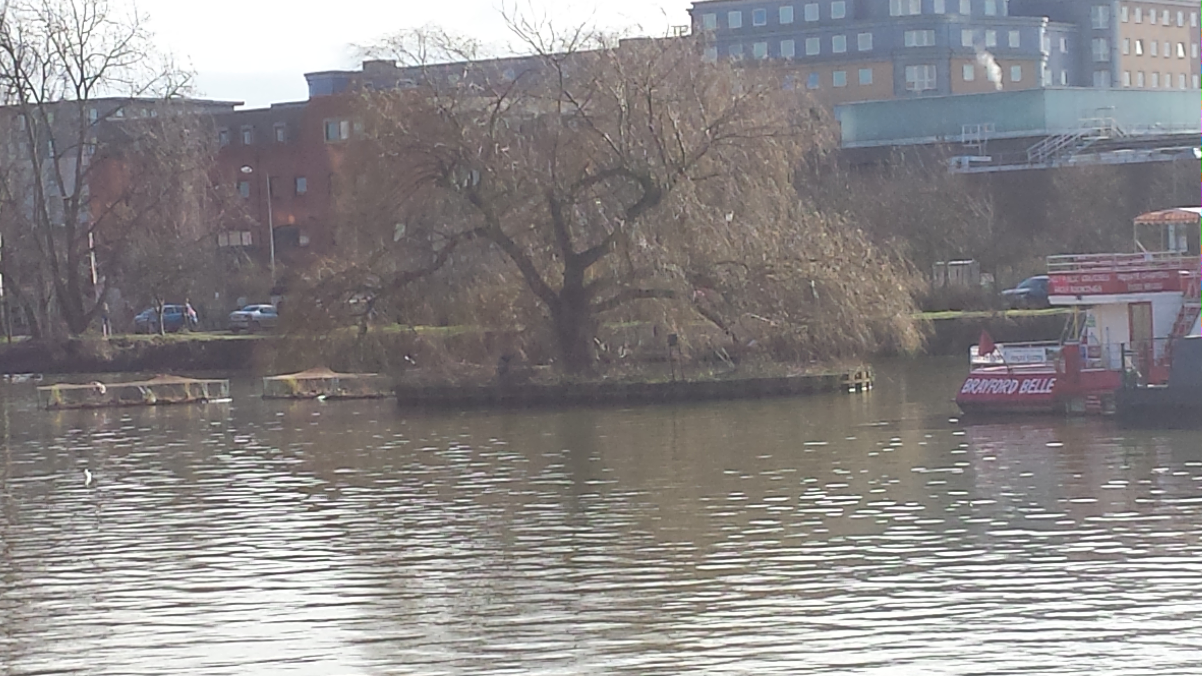 Brayford Island