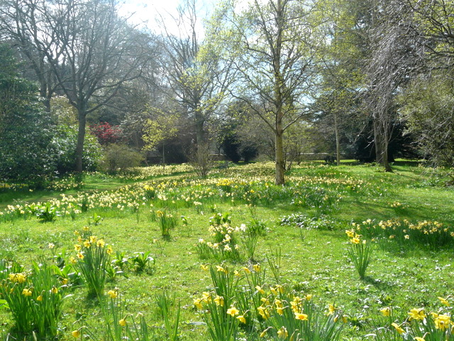 File Brodie Castle gardens. geograph 1247132.jpg