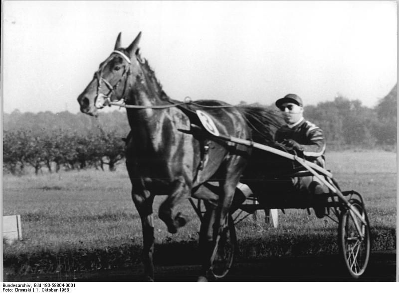 File:Bundesarchiv Bild 183-58804-0001, Gerhard Krüger.jpg