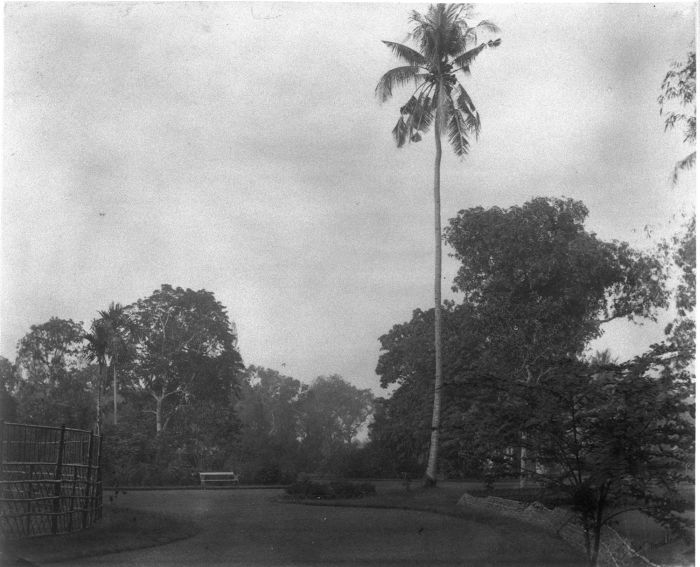 File:COLLECTIE TROPENMUSEUM De Achin tuin in Soerabaja TMnr 60009364.jpg