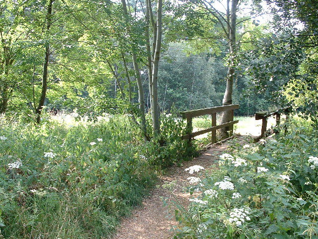 File:Castleman Trailway Crossing Uddens Water - geograph.org.uk - 29591.jpg