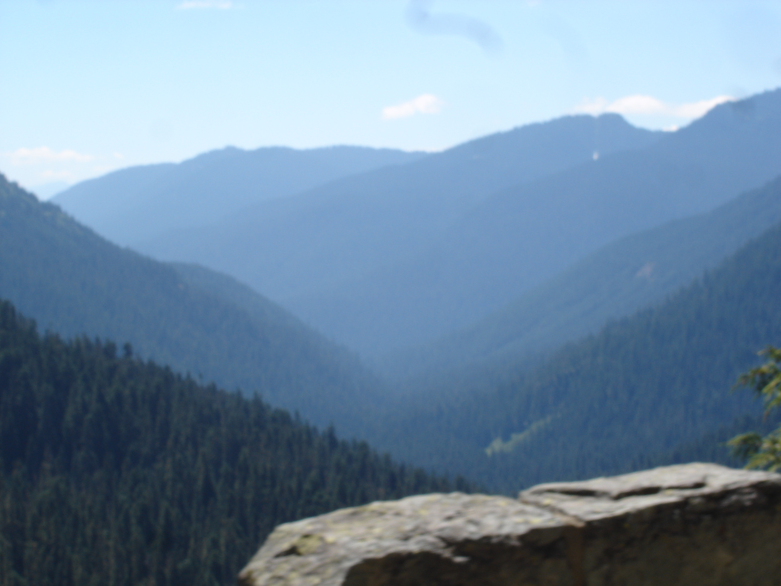 Photo of Cayuse Pass