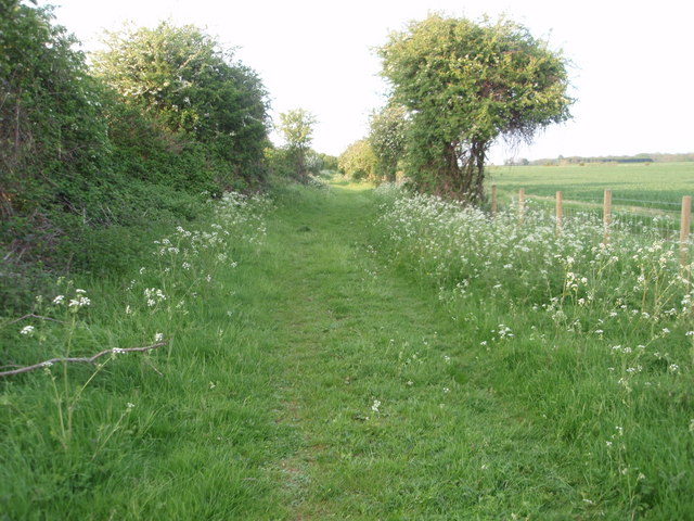 File:Clay Lane Byway - geograph.org.uk - 794925.jpg