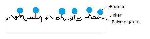 File:Covalent binding for Wiki project.jpg