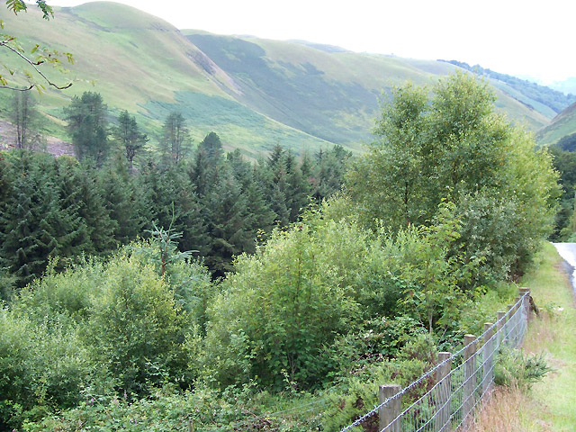 File:Cwm Brefi, Ceredigion - geograph.org.uk - 519999.jpg