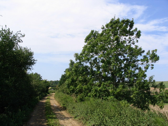 File:Dismantled railway line near Mappercombe - geograph.org.uk - 532505.jpg