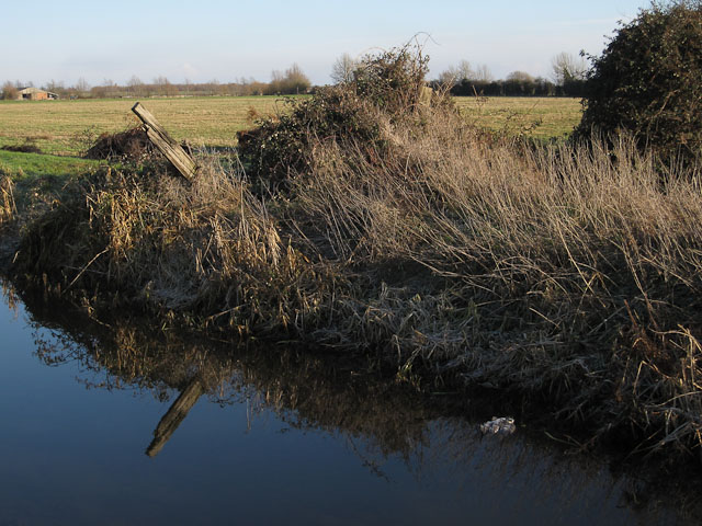 File:End of the hedge - geograph.org.uk - 1652067.jpg