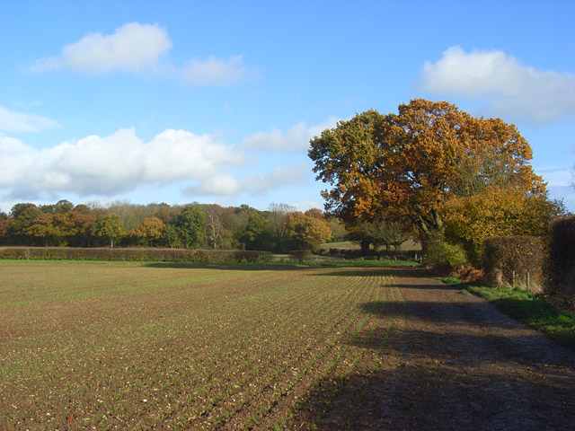 File:Farmland, Wargrave - geograph.org.uk - 1048341.jpg