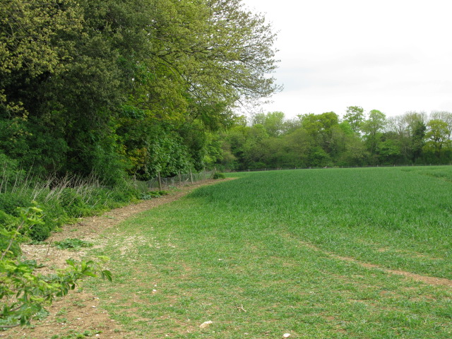 File:Field boundary with Betteshanger woods - geograph.org.uk - 1306619.jpg