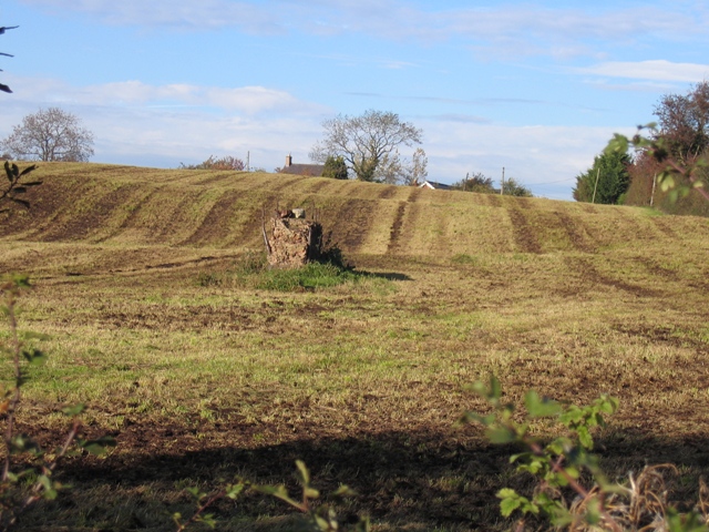 File:Field near Caer Estyn - geograph.org.uk - 276924.jpg