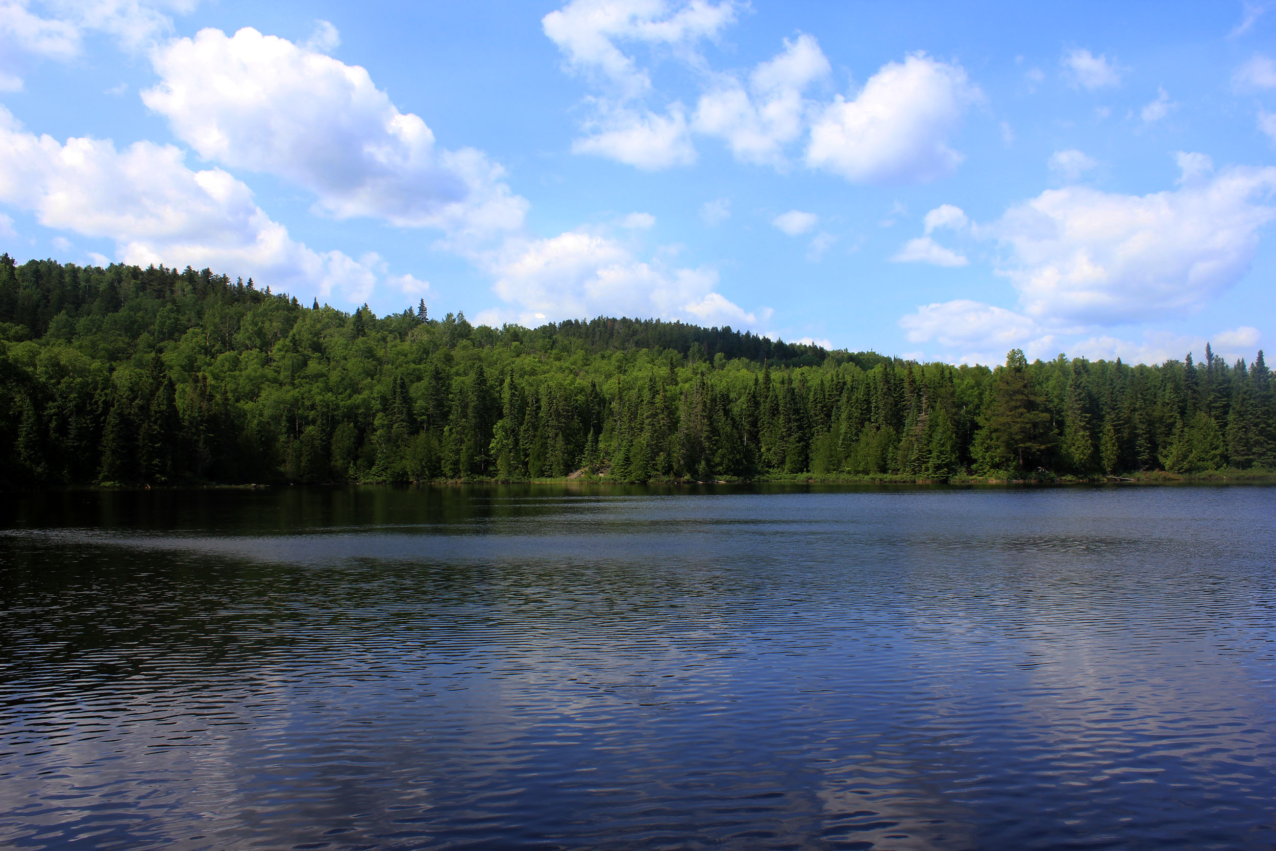 File:Gfp-minnesota-superior-national-forest-across-whale-lake.jpg ...