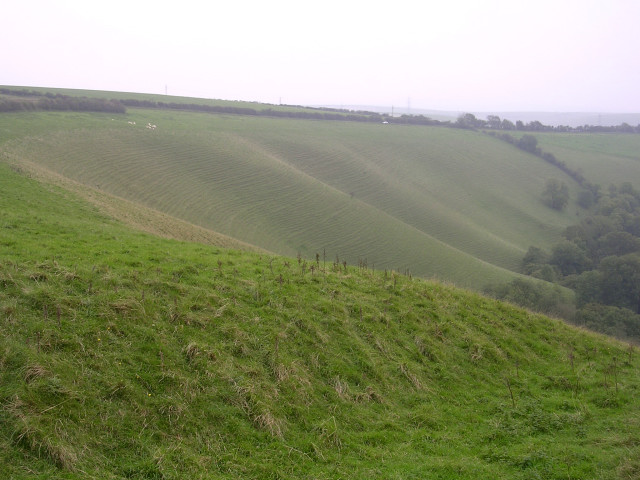 Glaciated chalk landscape, Eggardon Hill - geograph.org.uk - 66977