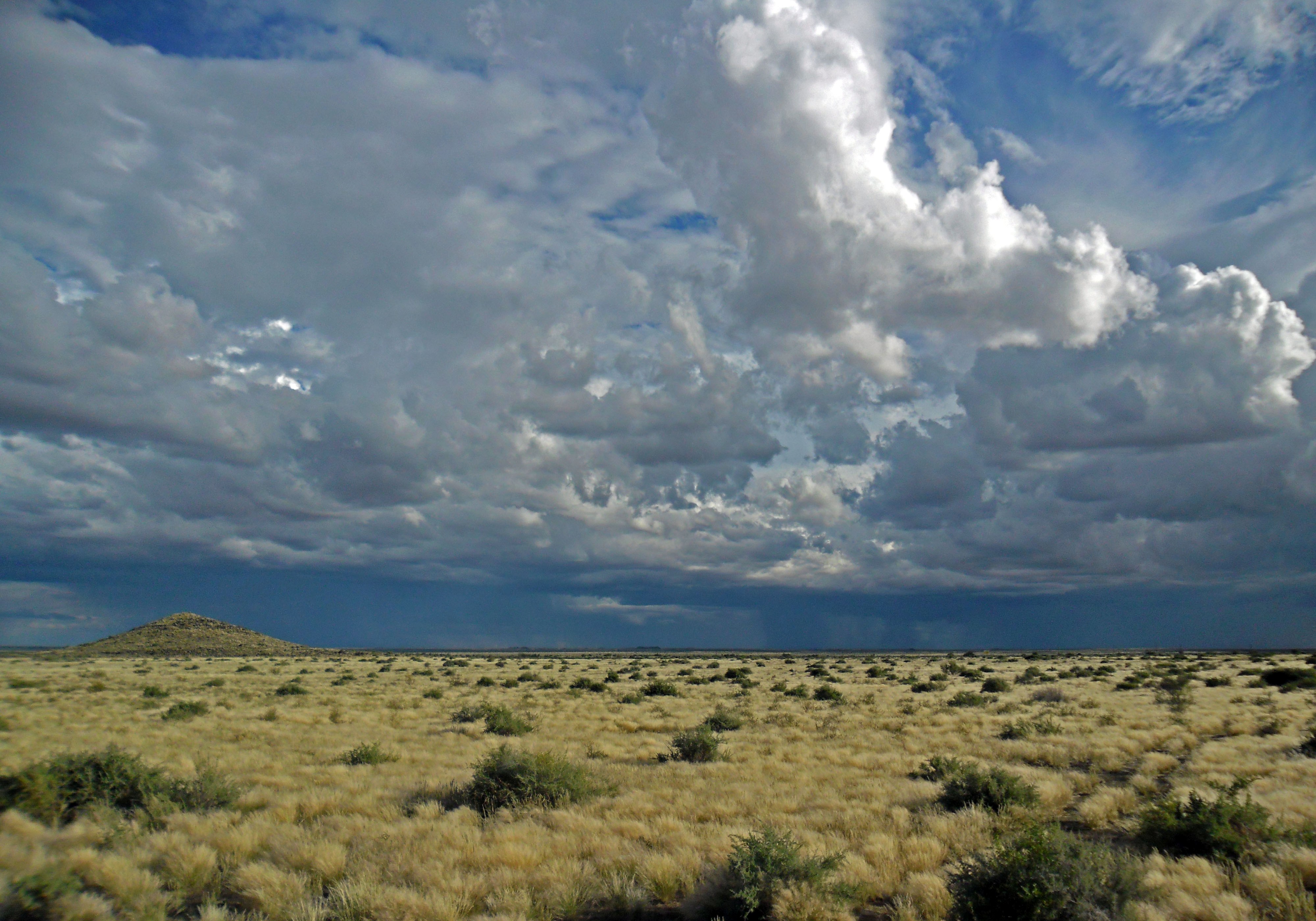 Степь в австралии. Степи Австралии. Samara Karoo Reserve.