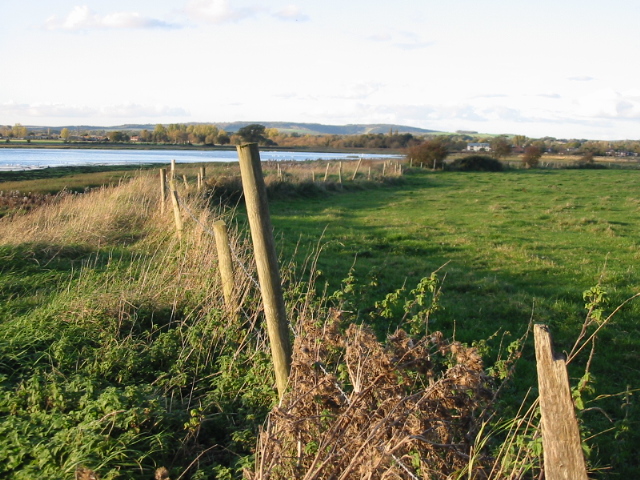 File:Looking N towards Fishbourne - geograph.org.uk - 1024290.jpg