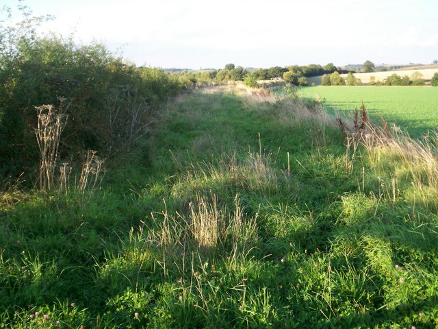 File:Looking North along disused railway. - geograph.org.uk - 247237.jpg