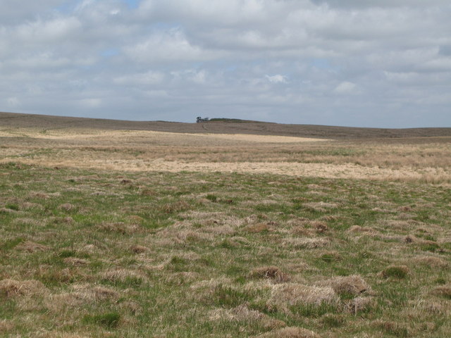 File:Moorland north of Crow Crags - geograph.org.uk - 1405264.jpg