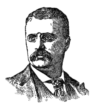 File:NSRW Theodore Roosevelt.png