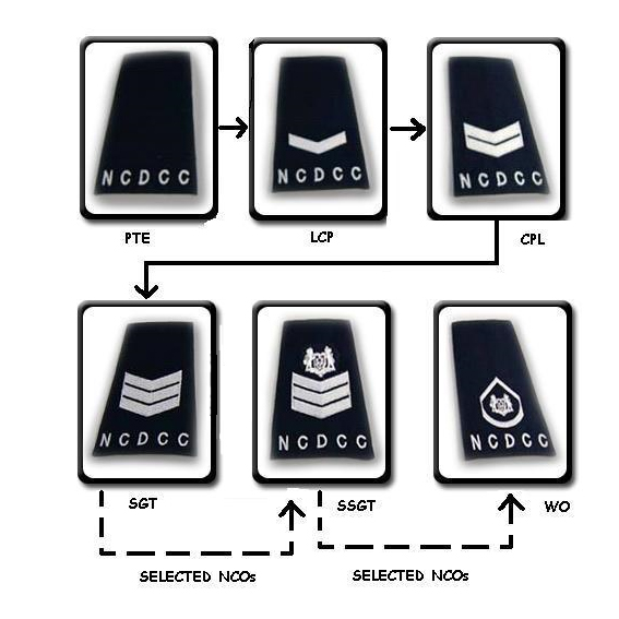 National Civil Defence Cadet Corps (Singapore) Cadet Ranks.jpg