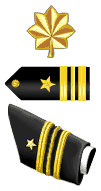 File:OF3 USN LTCMDR.gif