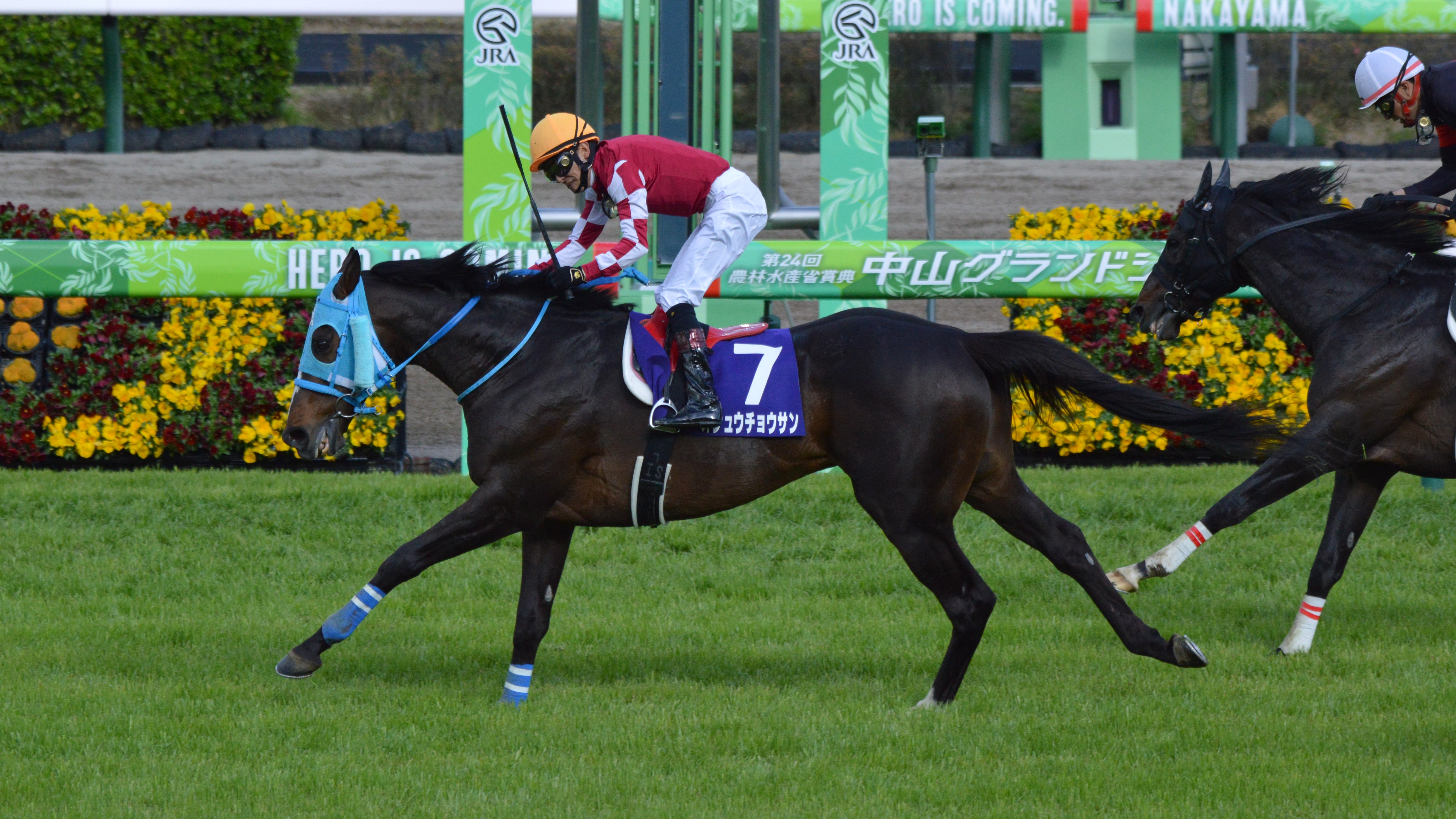 タイトルホルダー 有馬記念 中山競馬場 現地単勝馬券 記念馬券 外れ