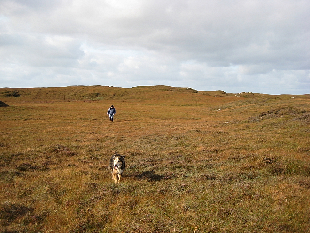 File:On The Way To Rossinish - geograph.org.uk - 1527034.jpg