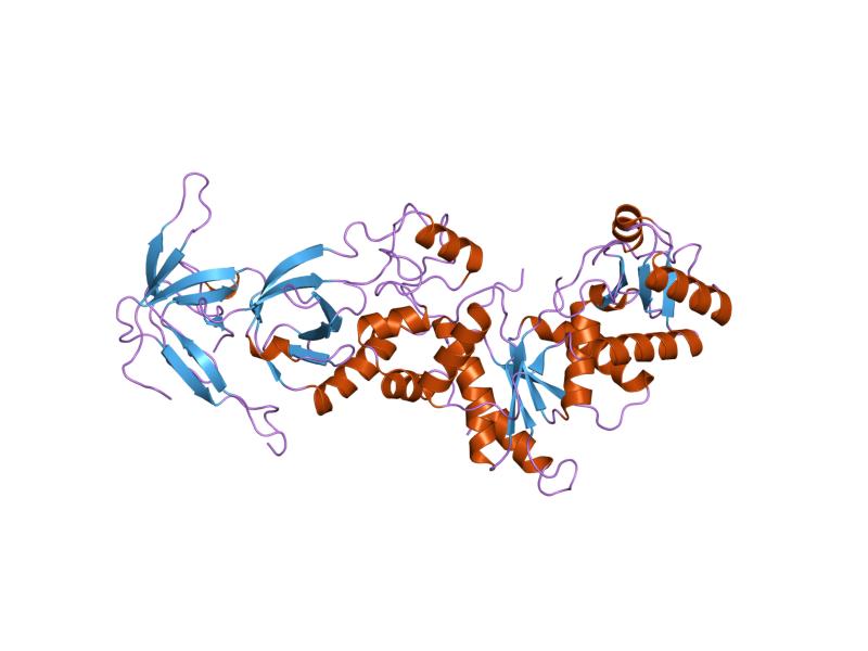 PDB_1nyl_EBI.jpg