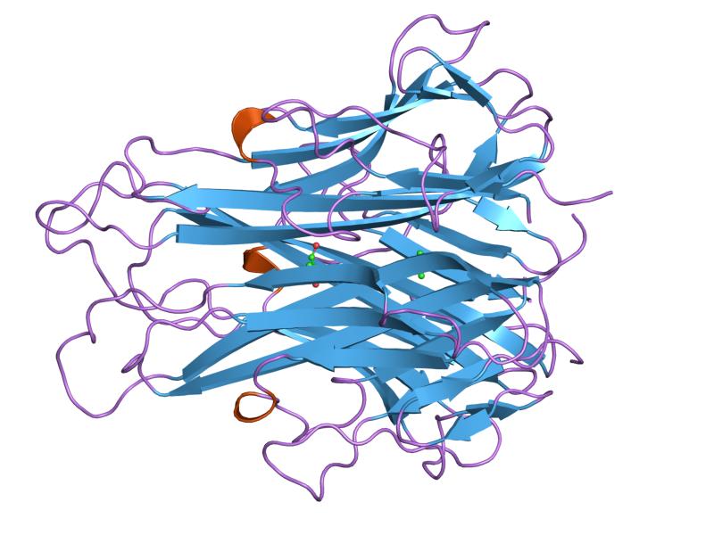 File:PDB 2tnf EBI.jpg