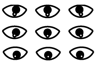 File:Purkyňovy obrázky a střed pupily při pohybu oka.gif