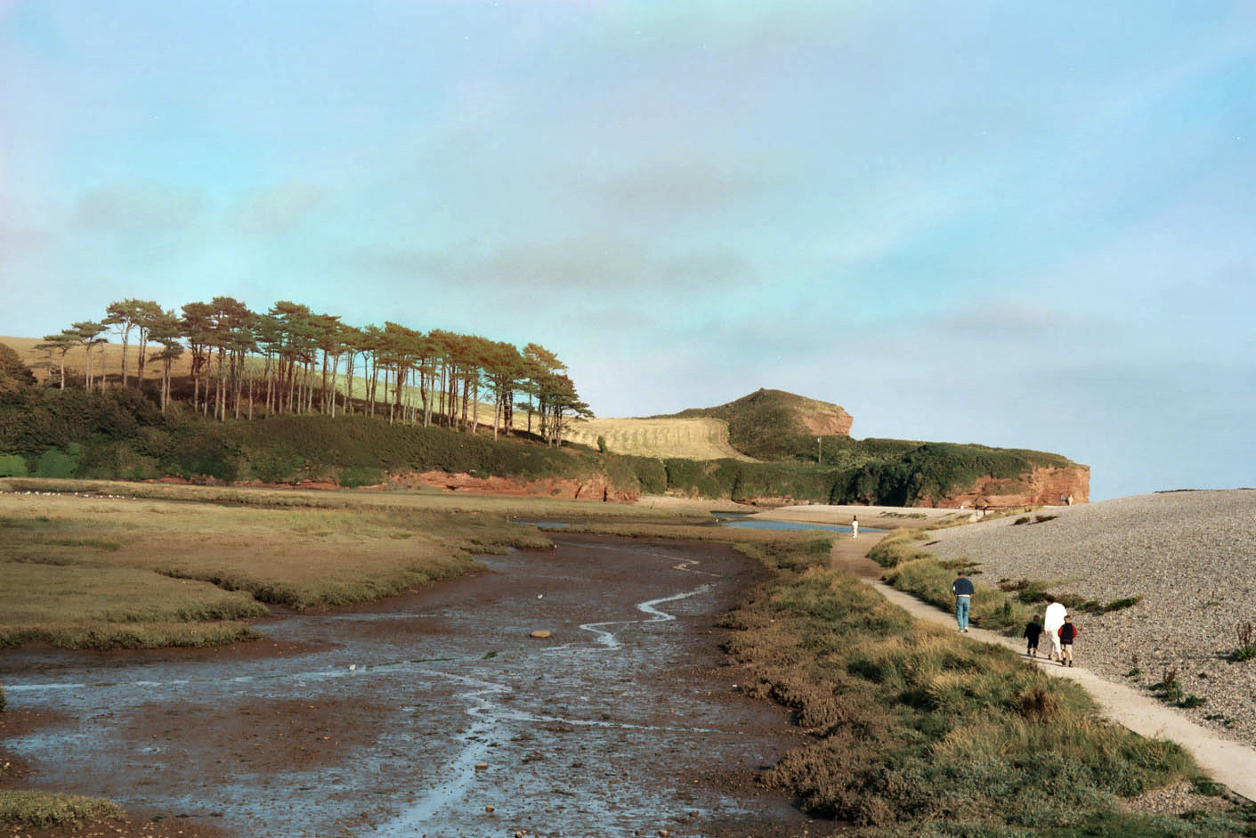 River Otter, Devon