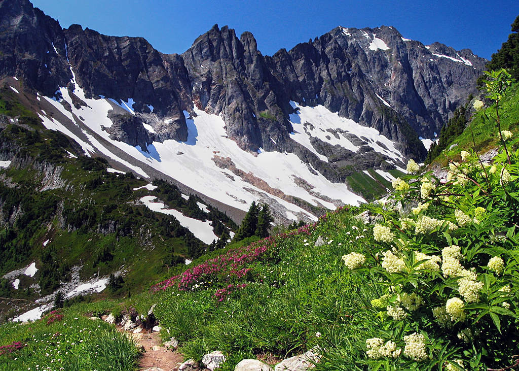 Wild flowers and The Triplets, Sahale Arm, North Cascades National Park | National Parks Near Seattle