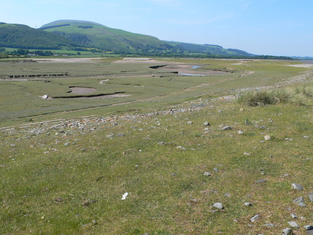 File:Salt marshes, Glan y Mor Elias - geograph.org.uk - 1340591.jpg