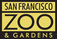 Poison Dart Frog - San Francisco Zoo & Gardens
