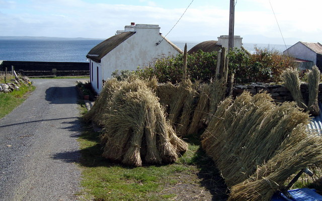 File:Sheaves of barley, St. John's Point - geograph.org.uk - 1214762.jpg