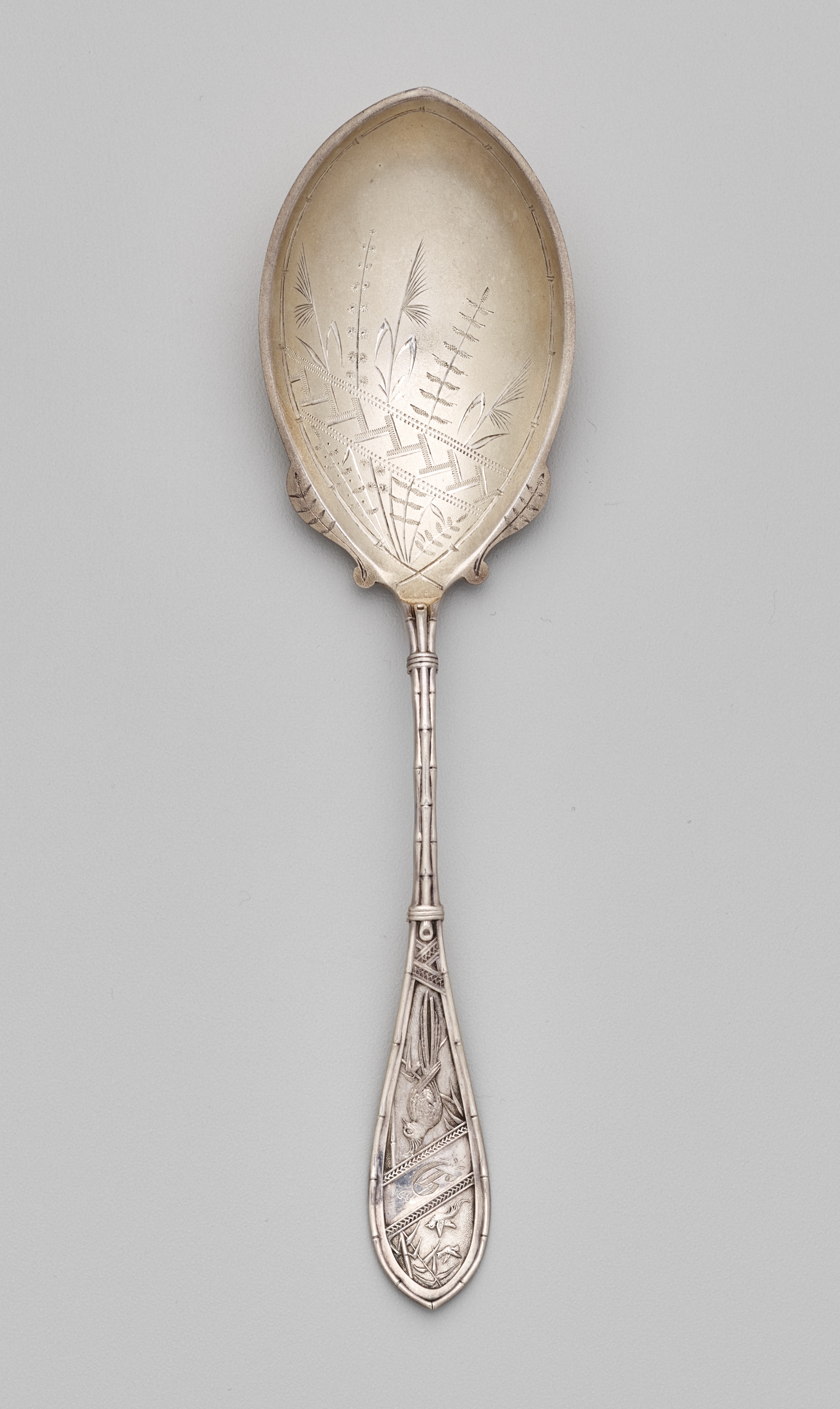 Silver spoon - Wikipedia