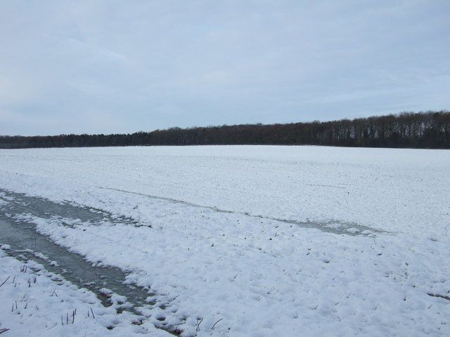 File:Snowy field, Grimshaw Hill - geograph.org.uk - 4818862.jpg