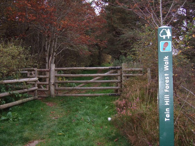 File:Tain Hill Forest Walk - geograph.org.uk - 586197.jpg